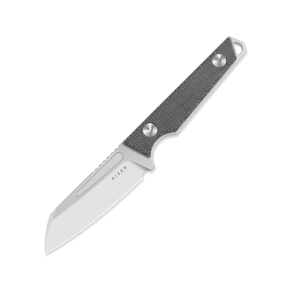 Phasmids | AEB-L | Micarta | 1079A3