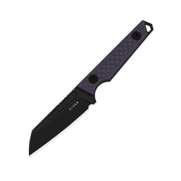 Phasmids | AEB-L | G10 | 1079A1