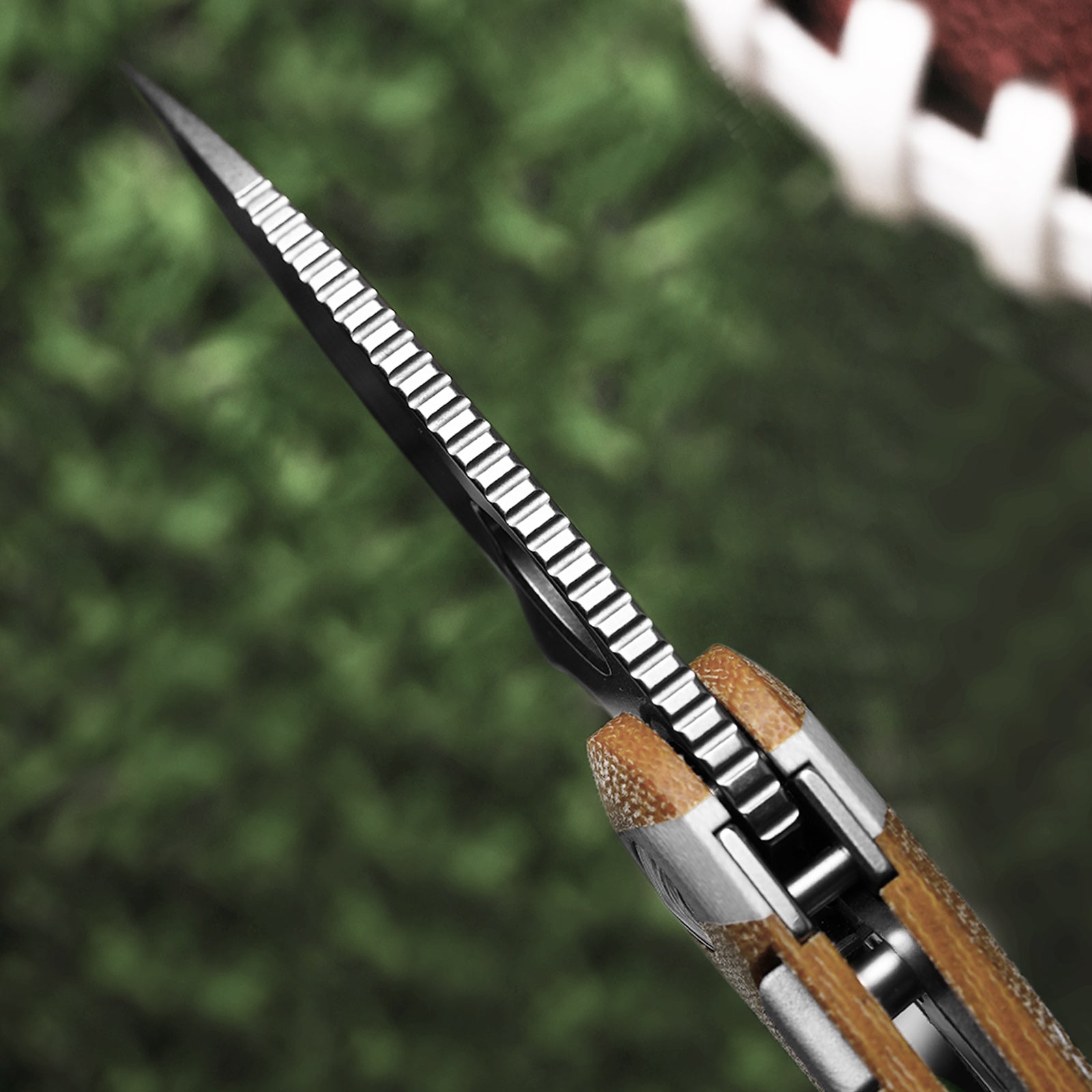 Microbe™ | Kizer Button Liner Lock™ | The Fifth Pocket 2.19" | 14C28N | KizerV™ 2742A7