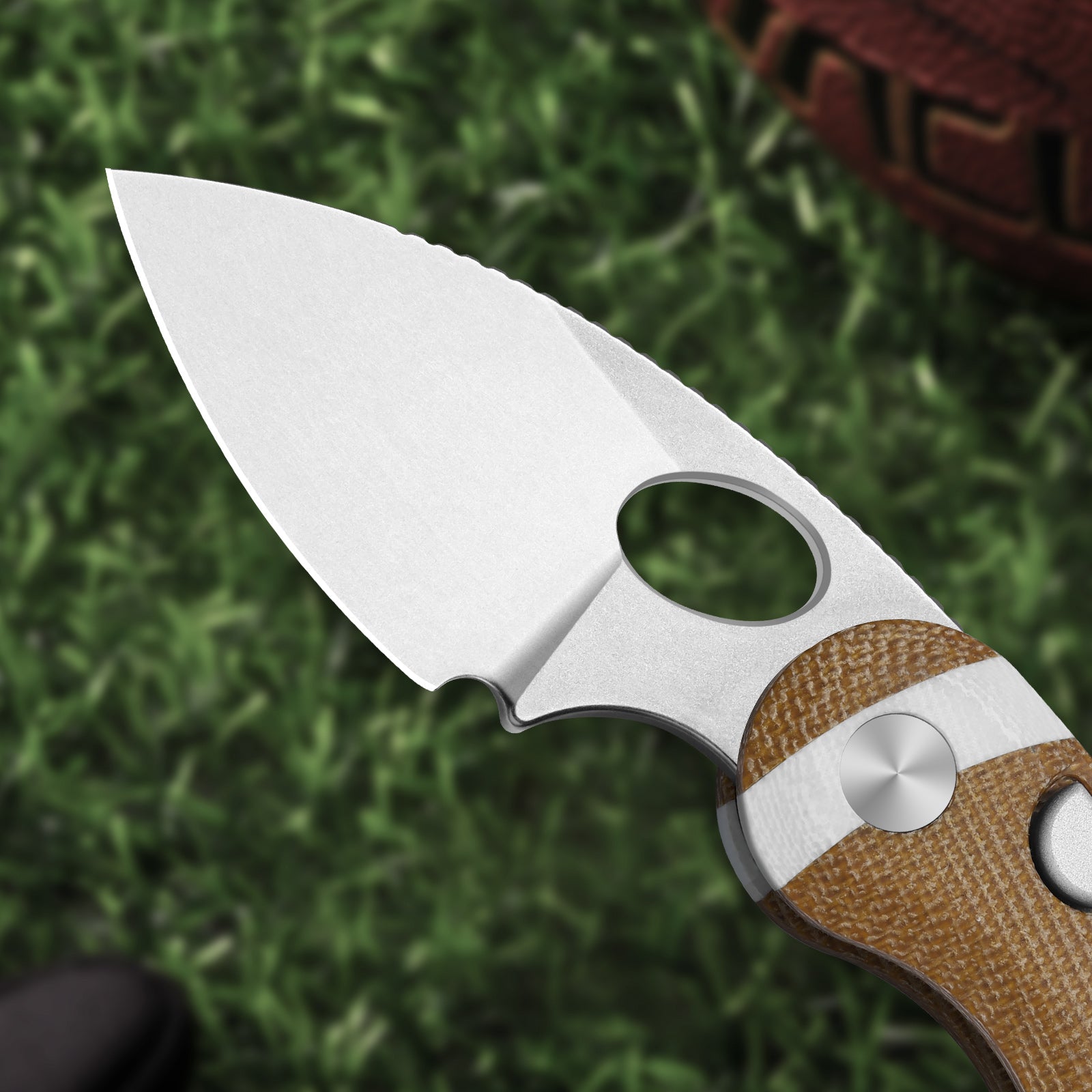 Microbe™ | Kizer Button Liner Lock™ | The Fifth Pocket 2.19" | 14C28N | KizerV™ 2742A7